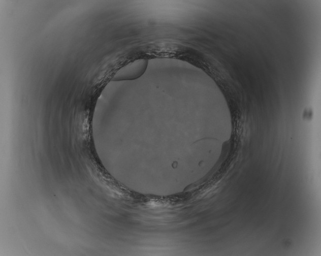 X0000111520818200908111200