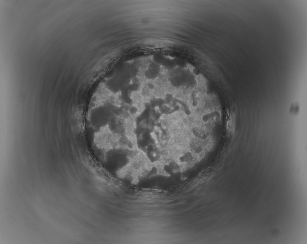 X0000111520819200908111200
