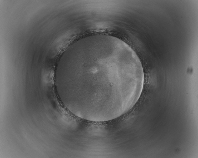 X0000111520820200908111200