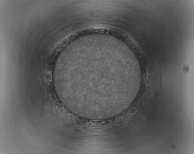 X0000111520821200908111200