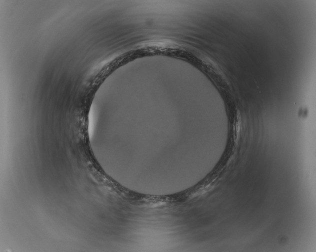 X0000111520822200908111200