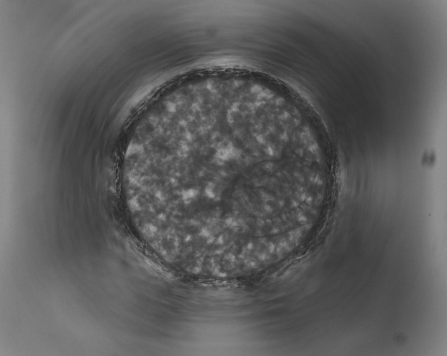 X0000111520823200908111200
