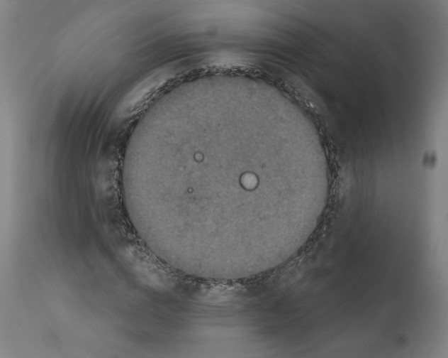 X0000111520824200908111200