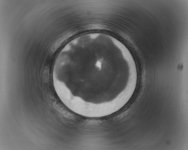 X0000111520825200908111200