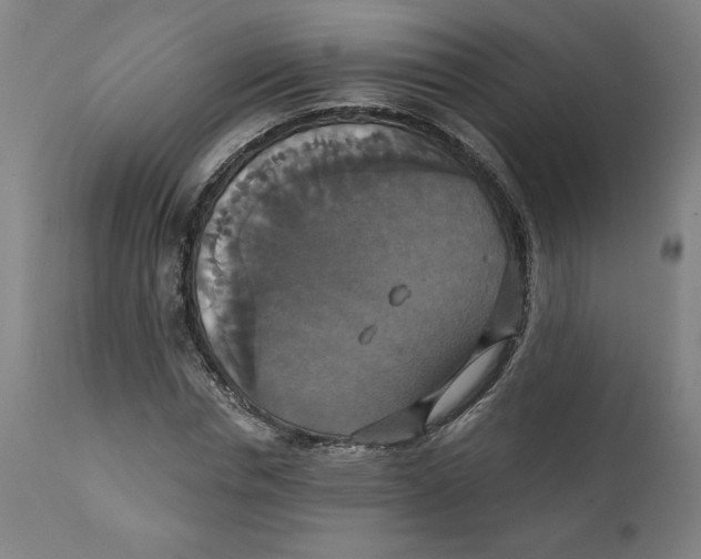 X0000111520826200908111200