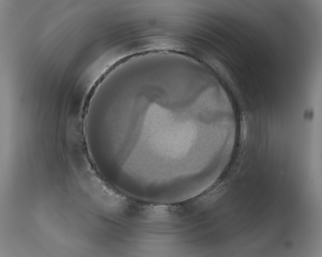 X0000111520828200908111200