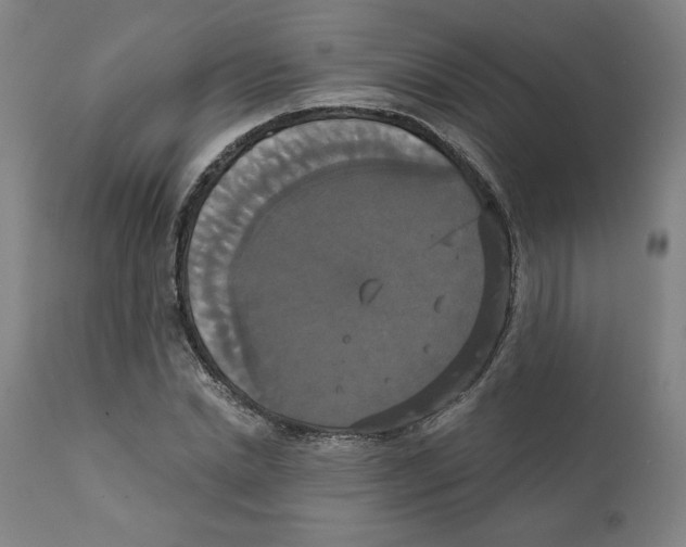 X0000111520830200908111200