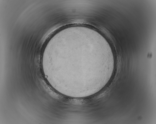X0000111520831200908111200