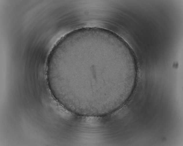 X0000111520832200908111200