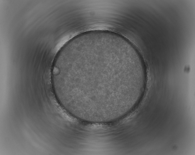 X0000111520834200908111200