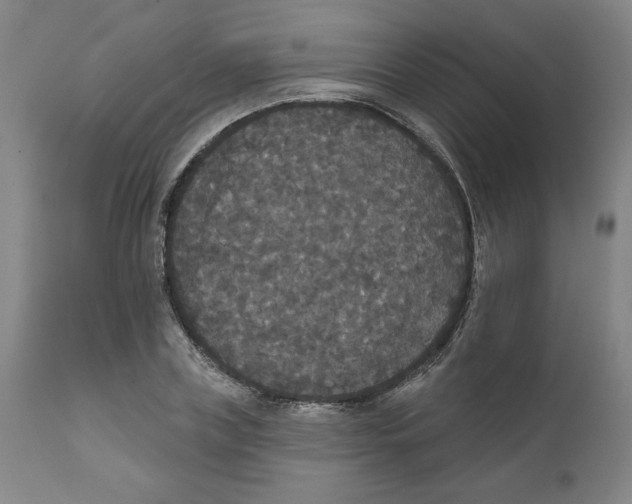 X0000111520835200908111200