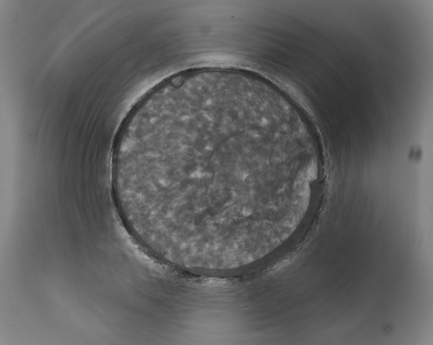 X0000111520839200908111200