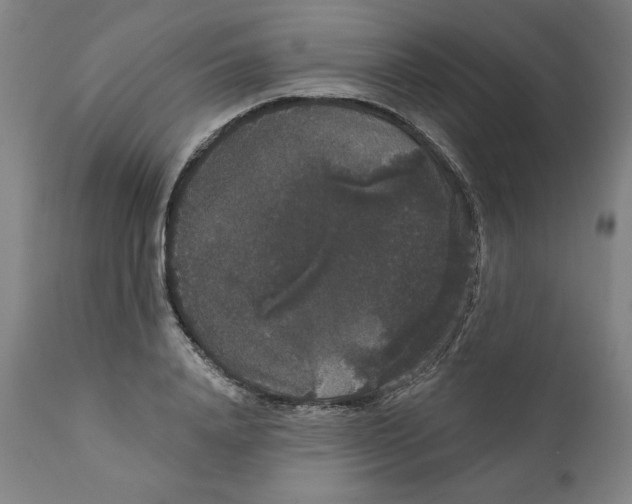 X0000111520840200908111201
