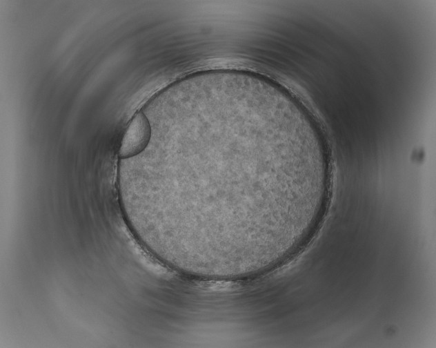 X0000111520841200908111201