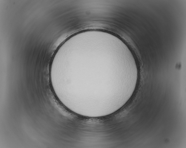 X0000111520842200908111201