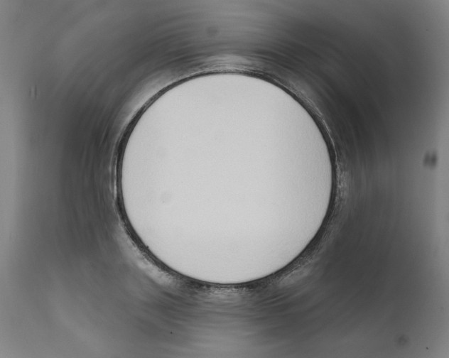 X0000111520843200908111201