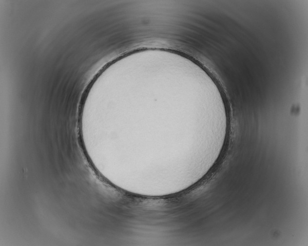 X0000111520845200908111201