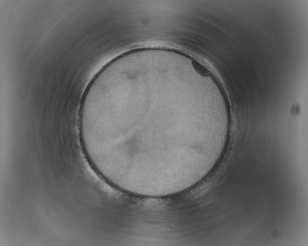 X0000111520847200908111201