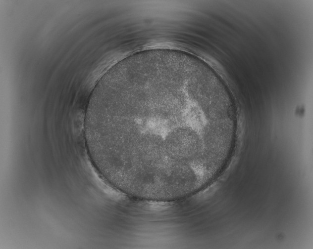 X0000111520849200908111201