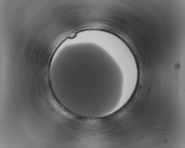 X0000111520850200908111201