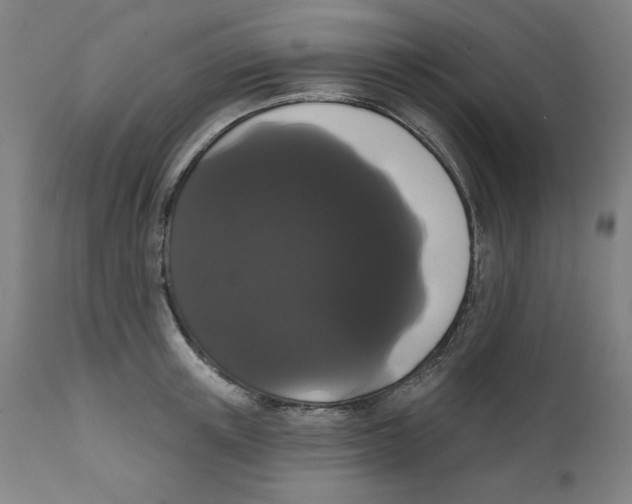 X0000111520851200908111201