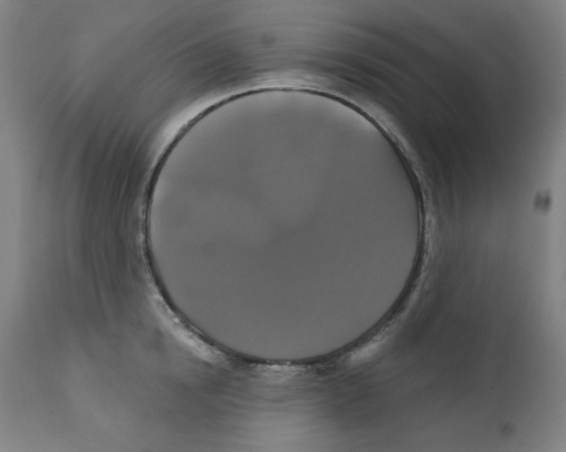 X0000111520854200908111201