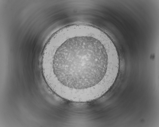 X0000111520856200908111201