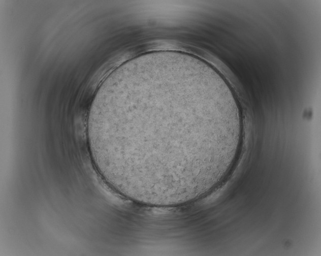 X0000111520857200908111201