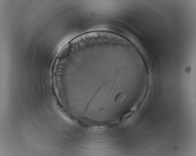 X0000111520858200908111201