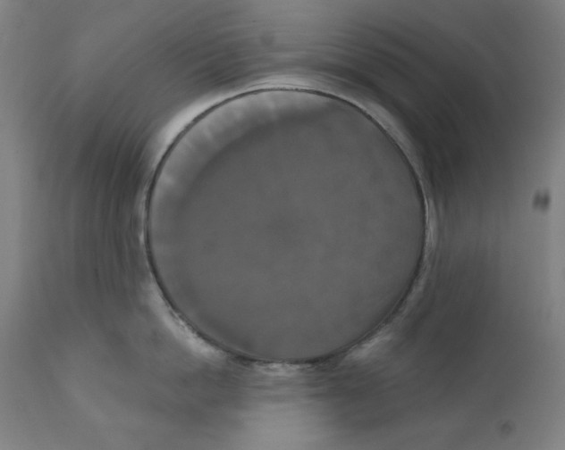 X0000111520862200908111201