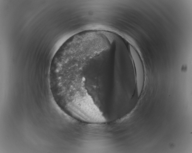 X0000111520863200908111201