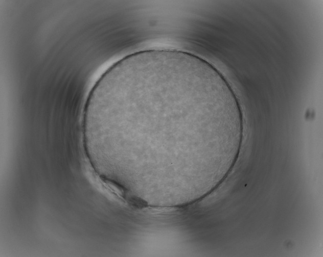 X0000111520864200908111201