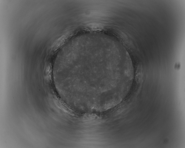 X0000111520866200908111200