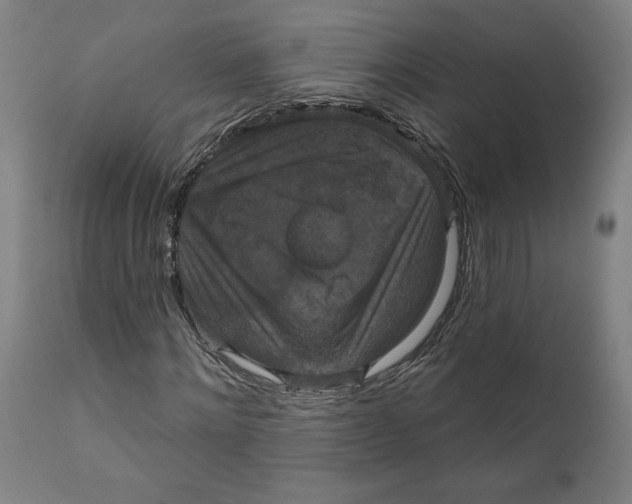 X0000111520868200908111200