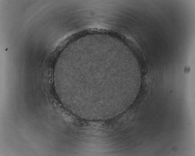 X0000111520870200908111200