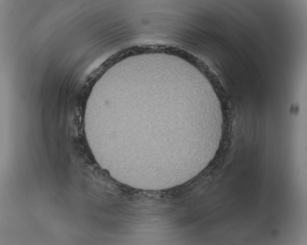 X0000111520871200908111200