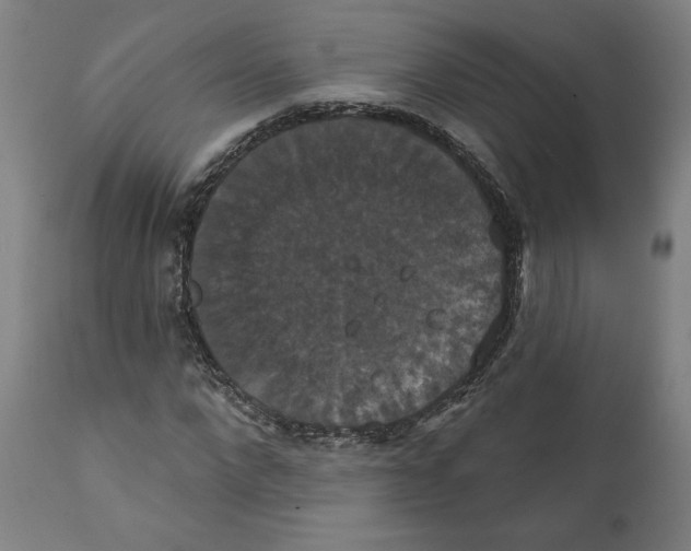 X0000111520872200908111200