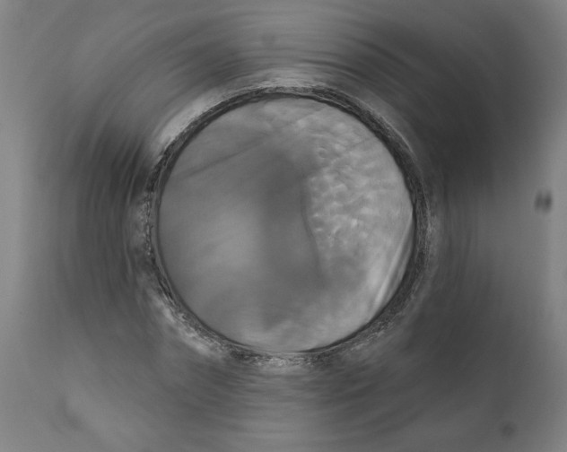 X0000111520874200908111200