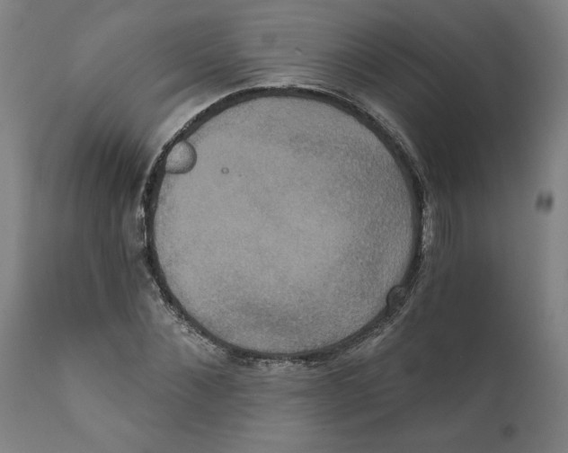 X0000111520876200908111200