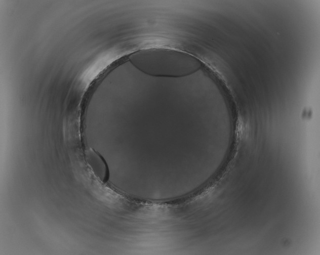 X0000111520877200908111200