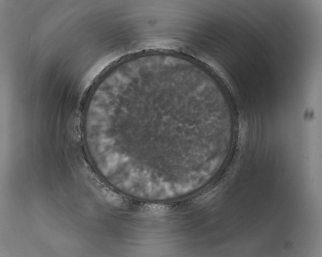 X0000111520878200908111200