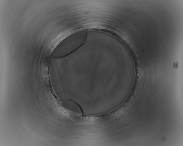X0000111520881200908111200