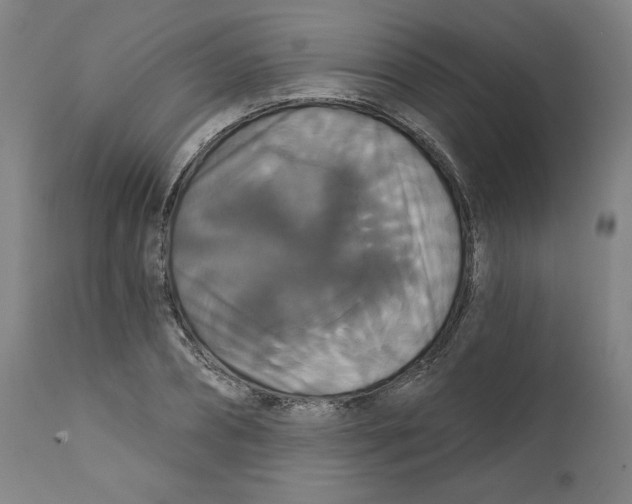 X0000111520882200908111200