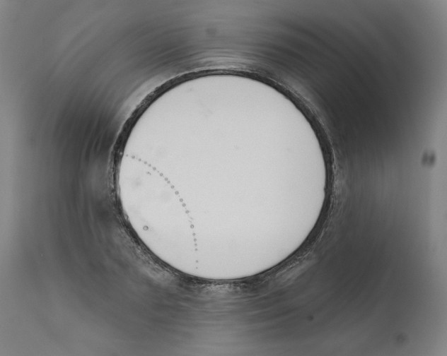 X0000111520883200908111200