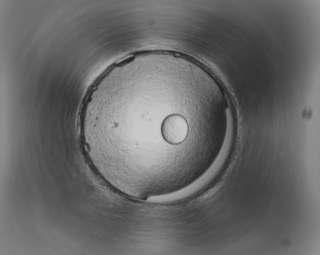X0000111520885200908111200