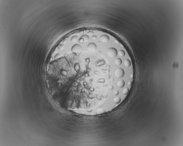 X0000111520887200908111200