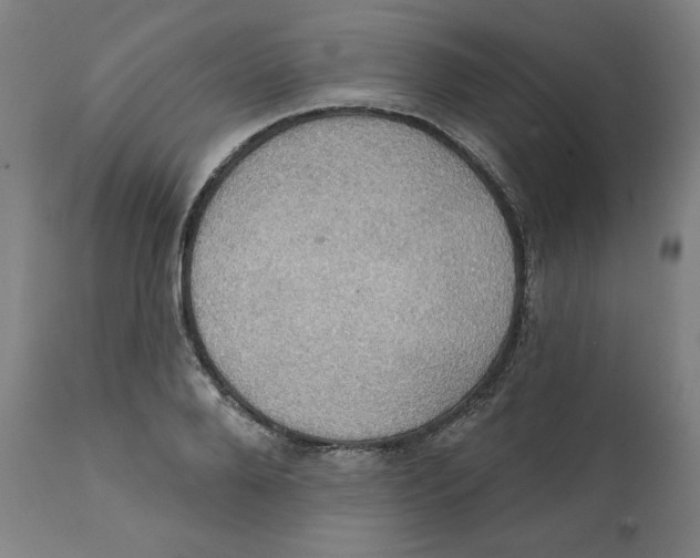 X0000111520888200908111200