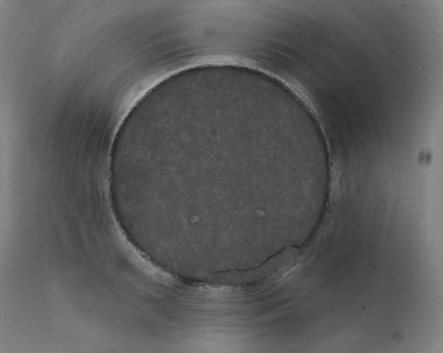 X0000111520895200908111200