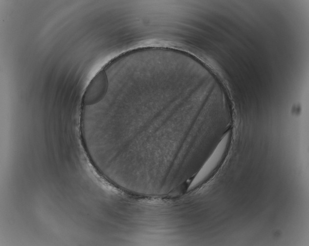 X0000111520896200908111200