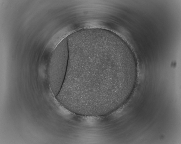 X0000111520897200908111200